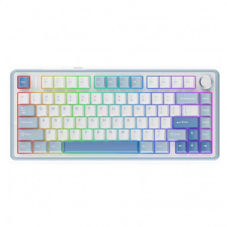 Aula F75 EN White/Blue/Purple switch