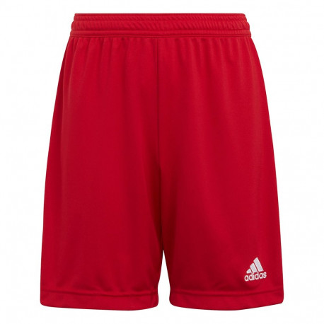 Adidas laste lühikesed püksid Entrada 22 H57501, punane