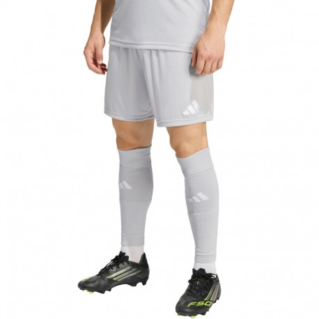 Adidas meeste lühikesed püksid Entrada 26 JZ2515, hall