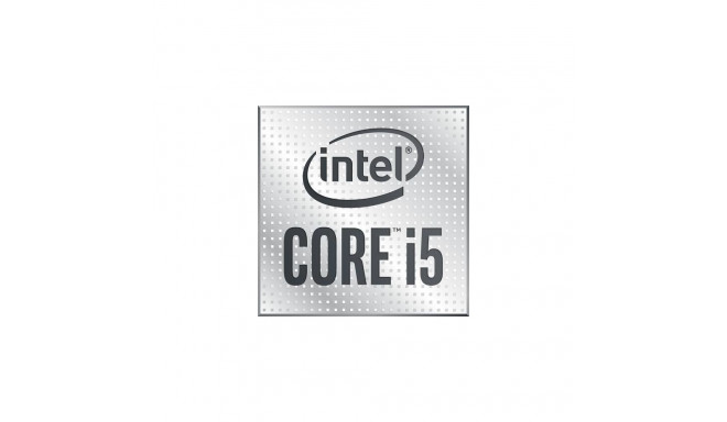Intel Core i5-10400F processor 2.9 GHz 12 MB Smart Cache Tray