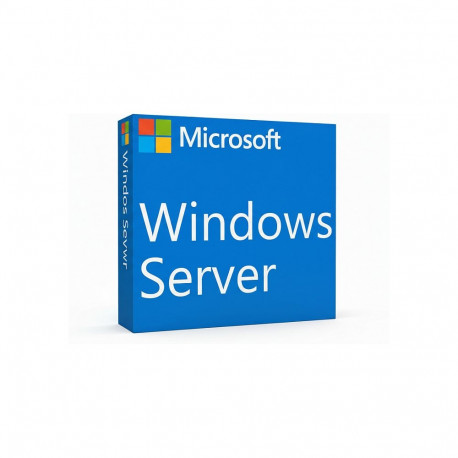 "Microsoft WINSVR CAL 2025 1User"