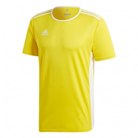 Koszulka dla dzieci adidas Entrada 18 Jersey JUNIOR żółta CF1039