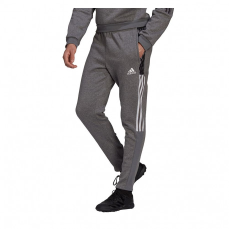 adidas meeste püksid Tiro 21 Sweat GP8802, hallid