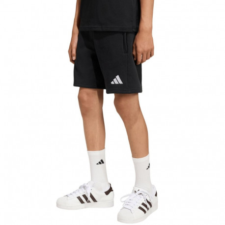 Adidas laste lühikesed püksid Entrada 26 Sweat KF5927 164cm, must