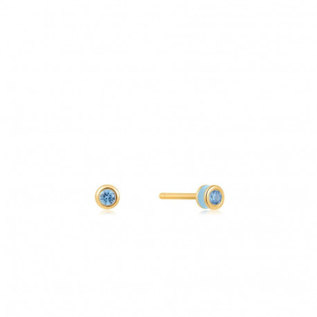 Ladies' Earrings Ania Haie E028-01G-B