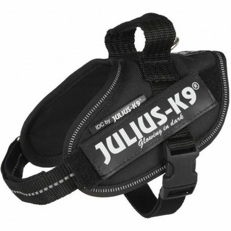Koera rakmed Julius K9 IDC Must