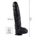 Dong 43cm