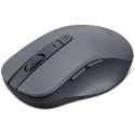 Lenovo WL310 Gray