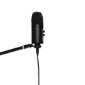 Stagg SUSM60D - USB condenser microphone