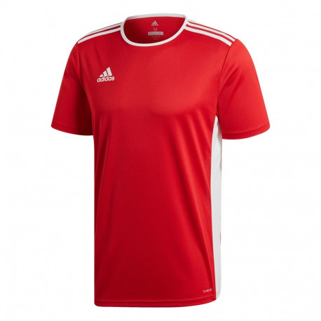 adidas laste spordisärk Entrada 18 Jersey CF1050, punane