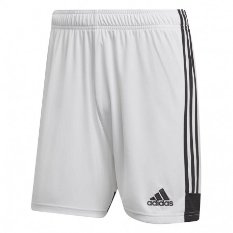 adidas meeste lühikesed püksid Tastigo 19 DP3247, valged