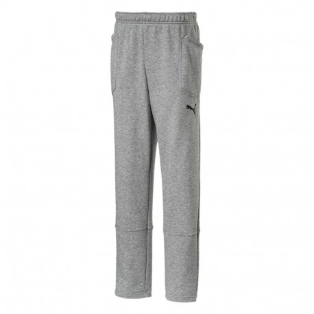 Puma laste püksid Liga Casuals 655635 33, hallid