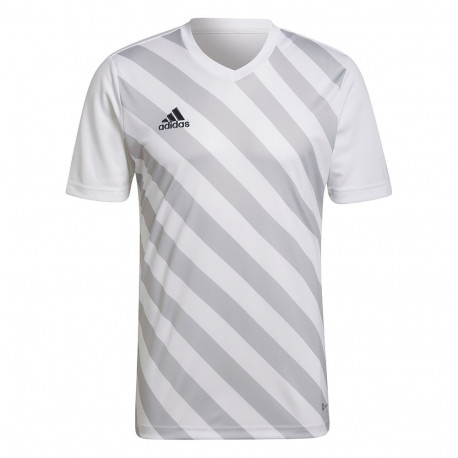 Adidas meeste särk Entrada 22 Graphic Jersey HF0129, valge-hall