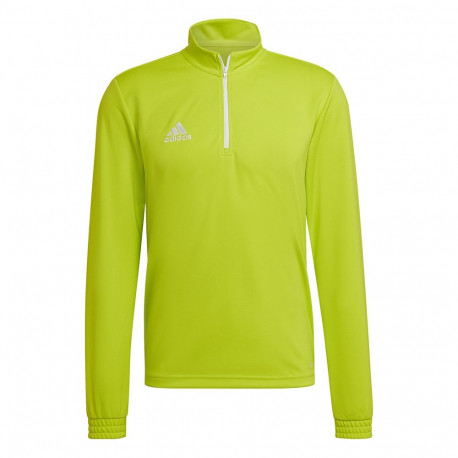 Adidas meeste treeningpusa Entrada 22 Training Top HC5057, laimiroheline
