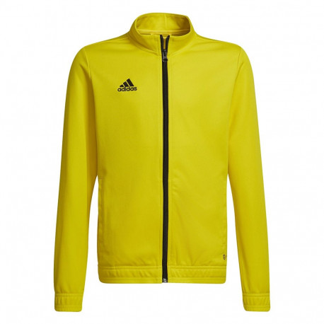 Adidas laste dressipluus Entrada 22 Track Jacket HI2139, kollane