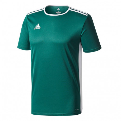 Koszulka dla dzieci adidas Entrada 18 Jersey JUNIOR zielona CE9563