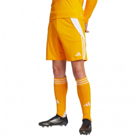 adidas meeste lühikesed püksid Tiro 24 JN4497, oranž