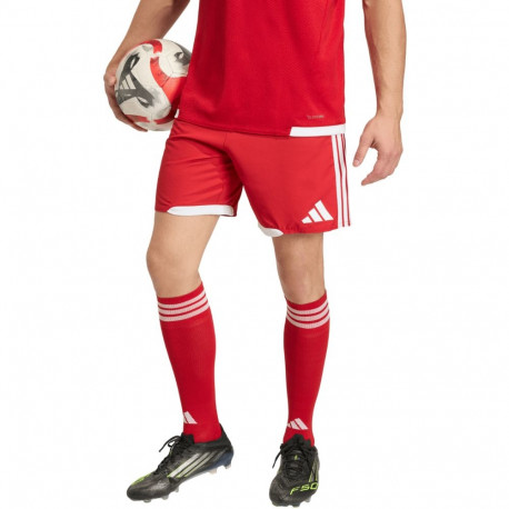 Adidas meeste lühikesed püksid Tiro 26 Competition Match KA6179, punane-valge