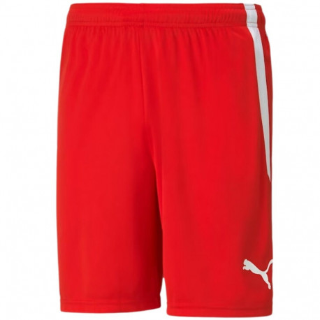Puma meeste lühikesed püksid teamLIGA 704924 01, punane