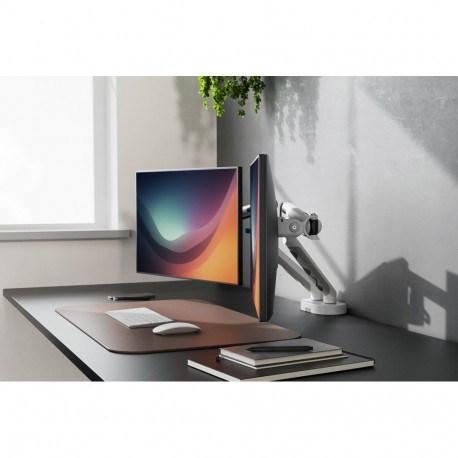 Digitus kahe monitori hoidik, 2x 35", 2x 10 kg
