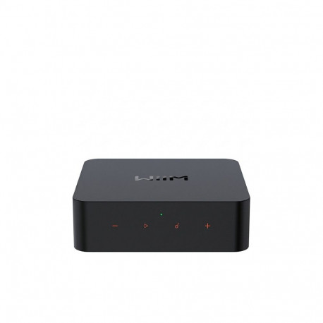 "WiiM Pro Smart Home Musik-Streaming-System schwarz"