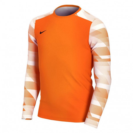Nike laste väravavahi särk Dry Park IV JSY LS GK JUNIOR CJ6072 819, oranž