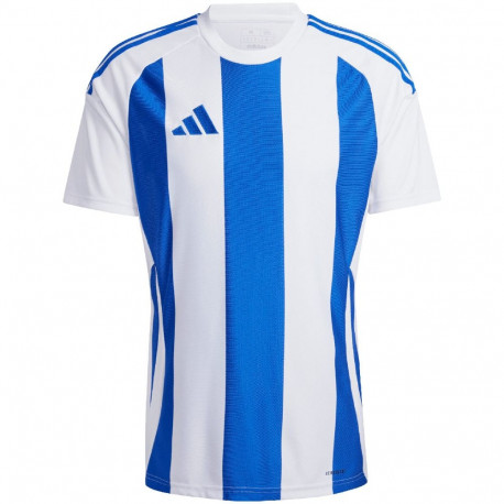 Adidas meeste särk Striped 24 Jersey IW2144, valge-sinine
