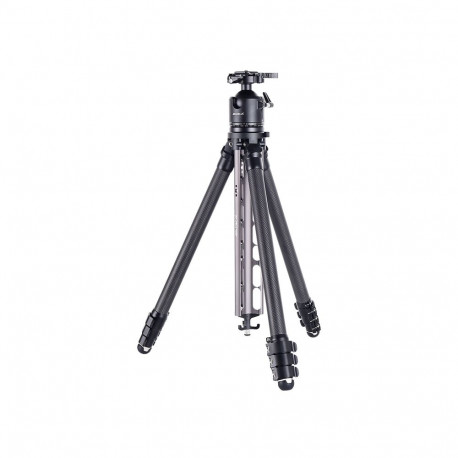 AOKA TS-254C Carbonstativ + DH-45 Kugelkopf, grau