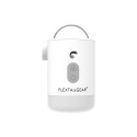 Flextail Max Pump2 PRO 4-in-1 Portable Pump (White)