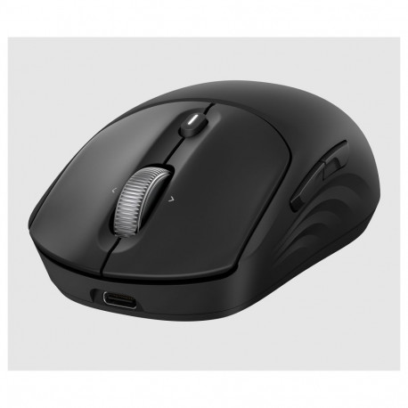 HP hiir 705 laetav juhtmevaba
