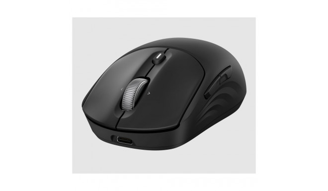 "HP 705 Rechargeable Wireless Mouse"