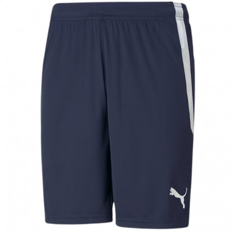 Puma meeste lühikesed püksid teamLIGA 704924 06, tumesinine