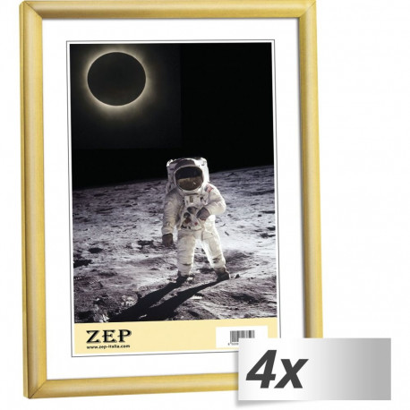 ZEP vaiguraam KG11 4x1 21x29,7 DIN A4 uus lihtne, kuldne