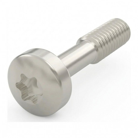 Schroff kraekruvi HALSSCHR.12.3 TORX NI Torx pesaga 100tk