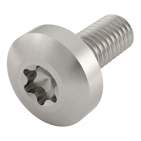 SCHROFF lamepeaga kruvid NTS TORXSCHR M4X14 Torx (100STK)