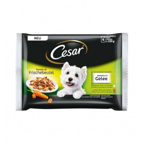 WET FOOD FOR DOGS CESAR 4X100G