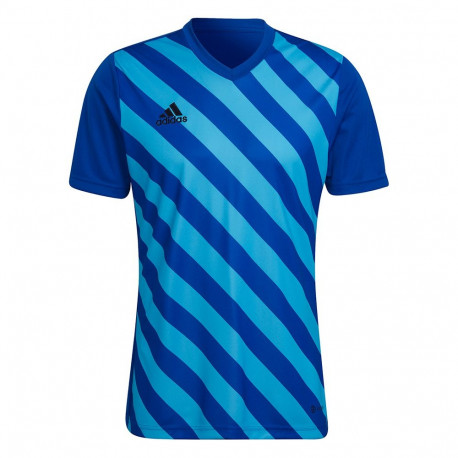 adidas meeste särk Entrada 22 Graphic Jersey HF0116, sinine-helesinine