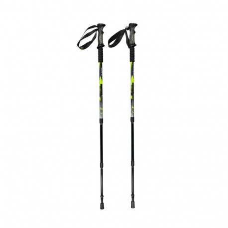 Kijki trekkingowe CMP Bern Trekking Poles zielono-czarne 3B36297 U911