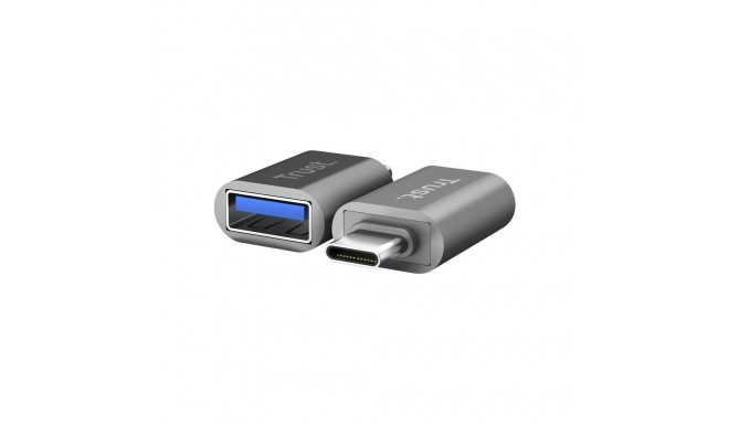 Trust USB videoadapter 26221, hõbedane
