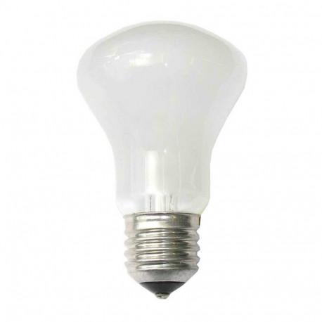 Elinchrom Modeling Lamp 100W/90V E27