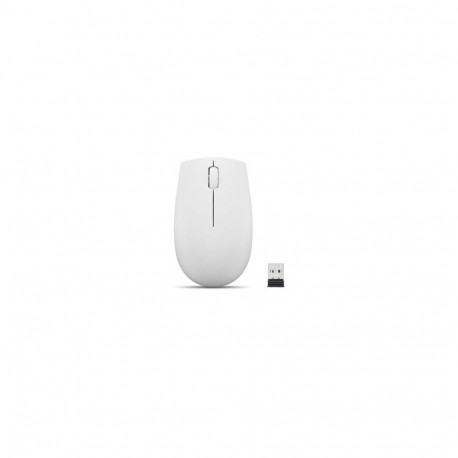 Lenovo 300 mouse Office Ambidextrous RF Wireless Optical 1000 DPI