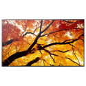 "Sharp MultiSync M982 Digital Signage Display 247,7 cm 98 Zoll"