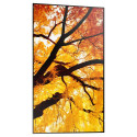"Sharp MultiSync M322 Digital Signage Display 80 cm 32 Zoll"