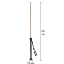 The Obedience Cane