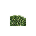 PLANT ARTIFICIAL BOXWOOD D28CM