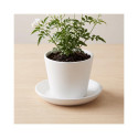 CERAMIC PLATE EMI D17 WHITE MATT