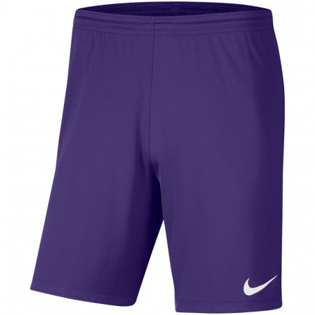 Nike laste lühikesed püksid Dry Park III NB K BV6865 547, lilla