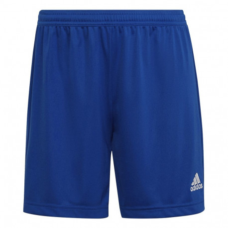 Adidas naiste lühikesed püksid Entrada 22 HH9998, sinised