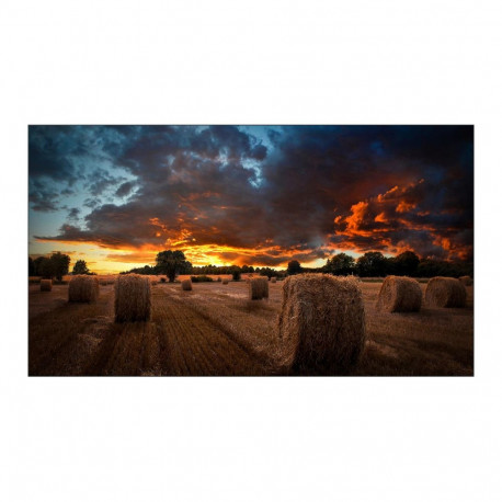 Samsung lcd-ekraan VM55B-U/LH55VMBUBGBXEN 55"
