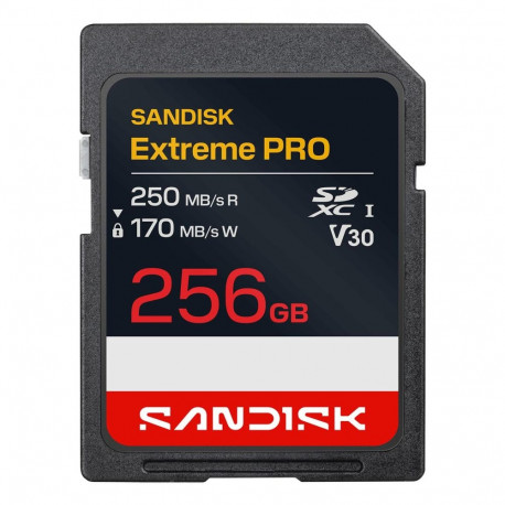 SANDISK mälukaart SDXC 256GB UHS-1 SDSDXXJ-256G-GSCIN